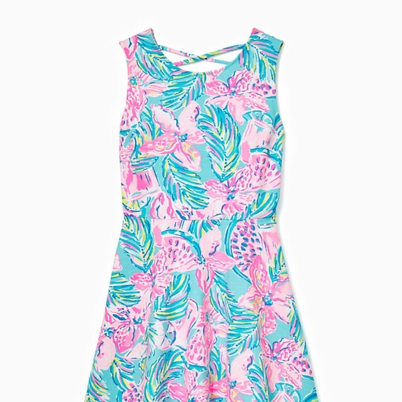 Lilly Pulitzer Carice dress - Picture 1 of 4